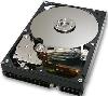Hitachi HARD DISK HGST 160 GB 7200 ATA133 IDE